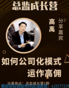  如何公司化模式运作高佣联盟APP，形成规模化，布局将来