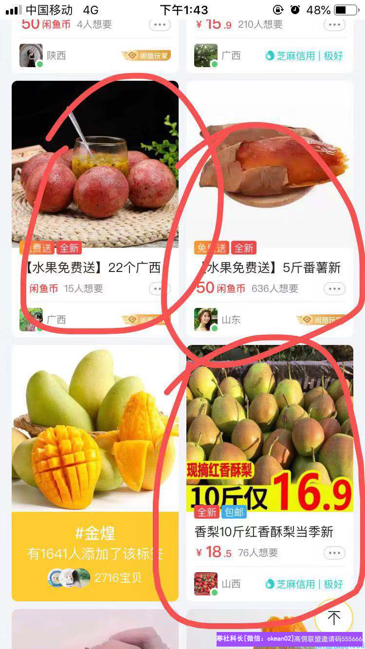 高佣联盟优秀总监奋斗5年淘客经验，分享如何利用闲鱼引流增加收益(图6)