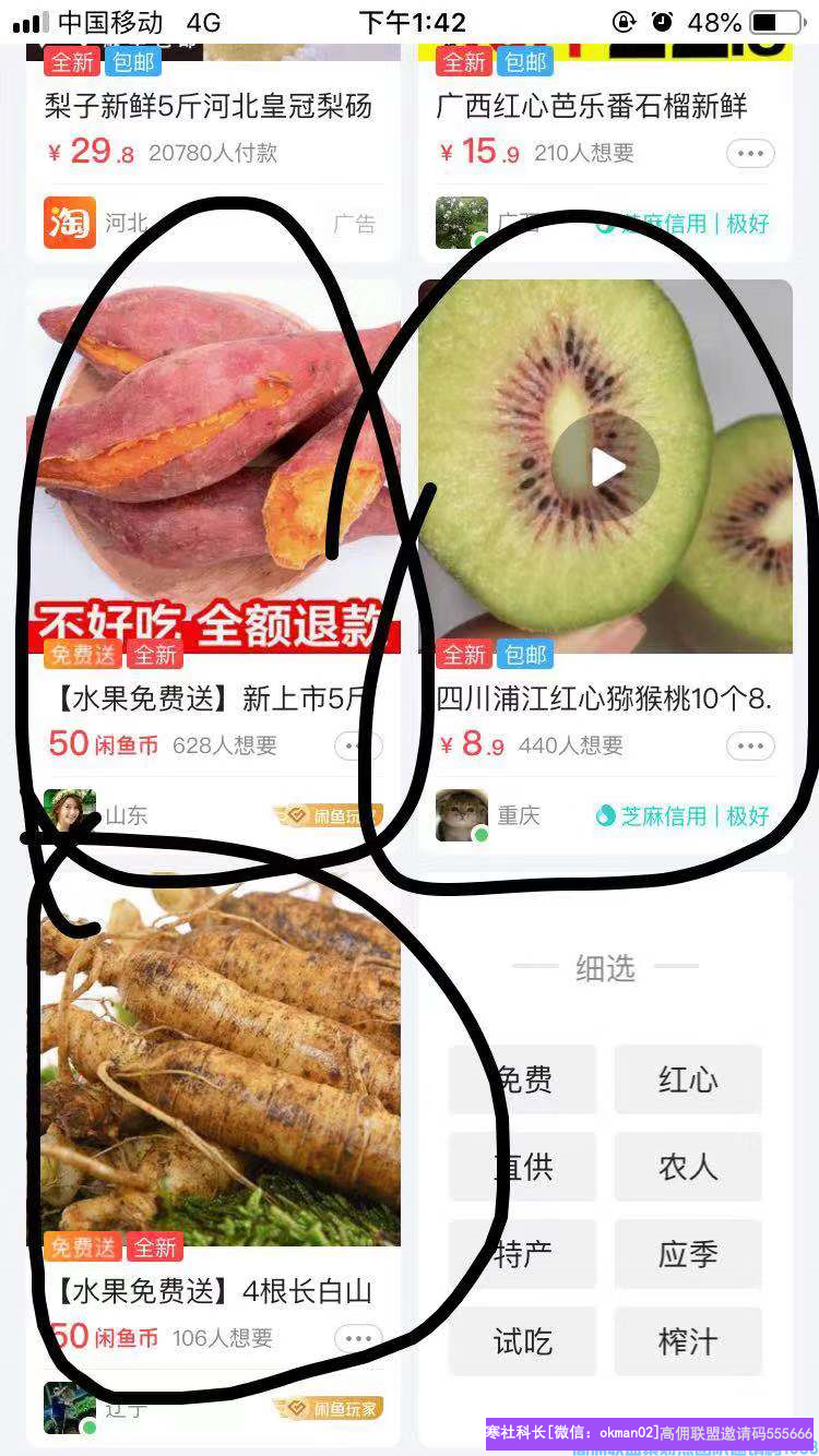 高佣联盟优秀总监奋斗5年淘客经验，分享如何利用闲鱼引流增加收益(图5)