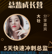 高佣优秀代理大壮分享：5天快速冲刺V2，学会这几招你也可以