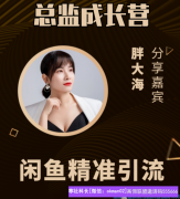 学会闲鱼精准引流，下一个大咖就是你，高佣联盟，成就你我