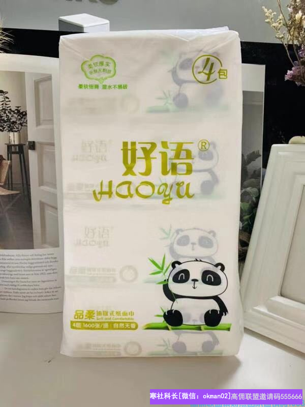 全职宝妈快速升级总监分享，卖纸每天几百收入顺带招代理的秘密(图18)