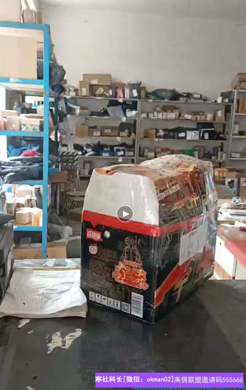 2个孩子的宝妈分享，从小白每月0收入到月入几千如何实现，如何改变突破为家庭减轻负担(图9)